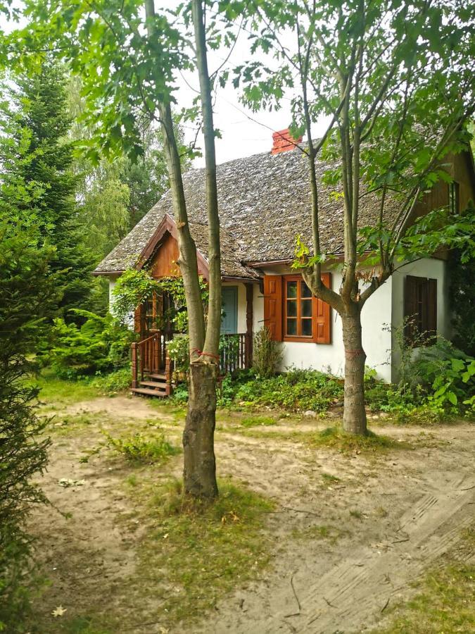 Az Pod Las Zbiczno Buitenkant foto